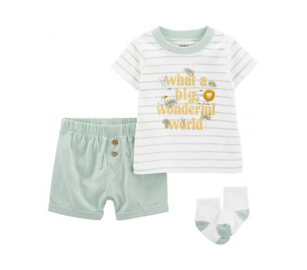 Carters Short+Remera+Medias 9M
