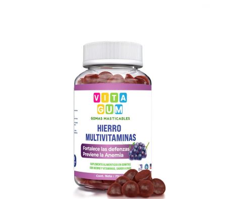 Vitagum Hierro Multivitaminas Frasco x 30 gomitas